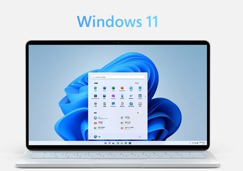win11小组件无法加载怎么办