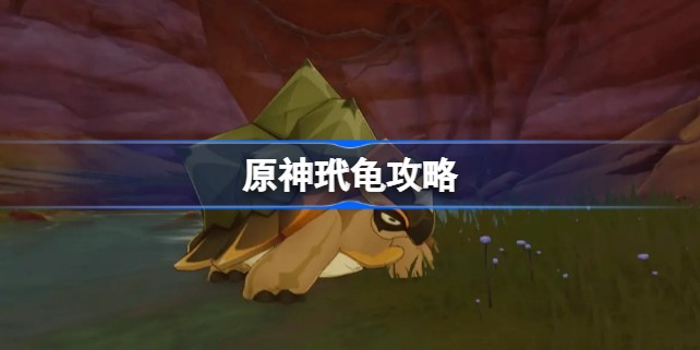 原神乌龟怎么打不死 原神玳龟打法攻略
