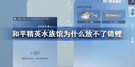 和平精英水族馆为什么有些鱼不能放-和平精英水族馆放不了锦鲤解决方法介绍