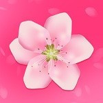 青青草视频手机版下载大全