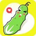 OnlyFans在线下载