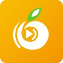 菠萝影视手机版