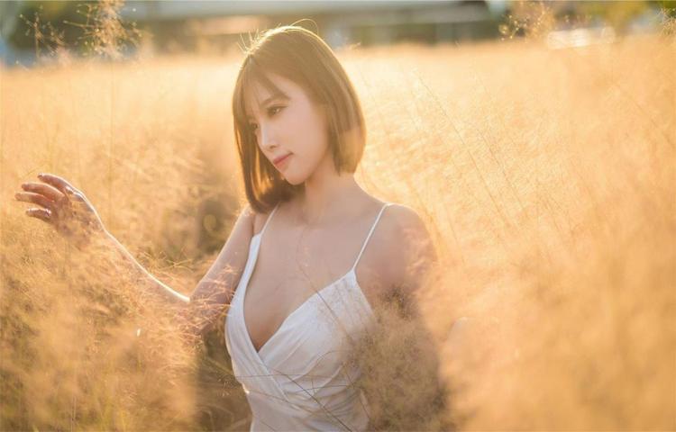 法国满天星与八尺夫人文化交集