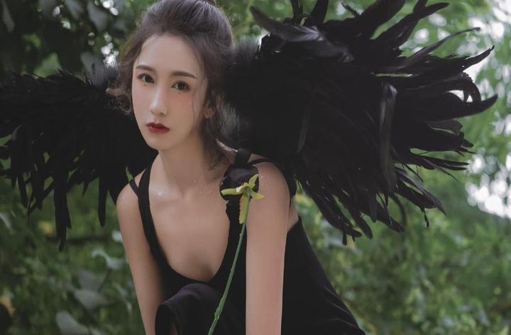 狗狗就医的重要性