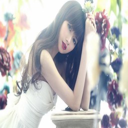 丝瓜、芭乐与猫咪的奇妙日常：从草莓田到向日葵花海，还有榴莲与西瓜的趣味故事