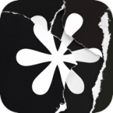 盛开之歌_logo